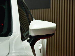 20202.5L 100؄eo(j) Ϻ܇չ