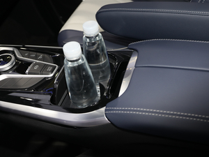 2021��������ͨMAXUS RG20 �Ϻ�܇չ