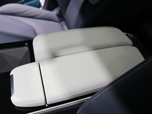 2021O T(ARCFOX T) Ϻ܇չ