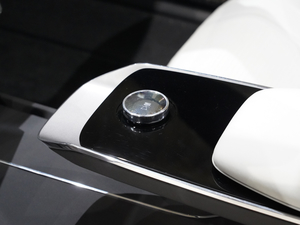 2020Polestar 5 Ϻ܇(ch)չ