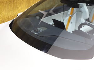 2020Polestar 5 Ϻ܇չ