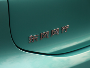 2021L(fng)T5 EVO Ϻ܇չ