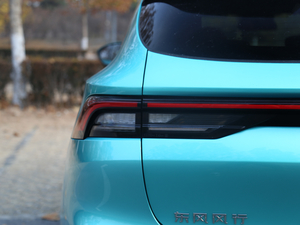 2021L(fng)T5 EVO Ϻ܇չ