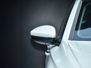 2021(bio)508LԴ Ϻ܇չ