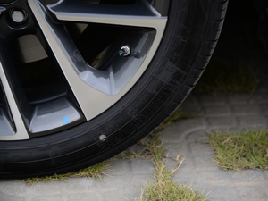 20215 PLUS Ϻ܇չ