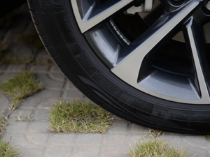 20215 PLUS Ϻ܇չ