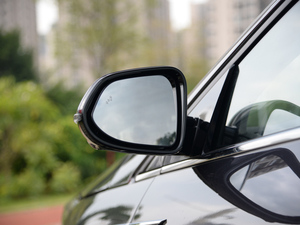 20215 PLUS Ϻ܇չ