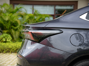 20215 PLUS Ϻ܇չ