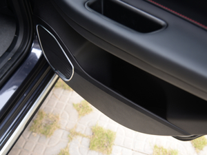 20215 PLUS Ϻ܇չ