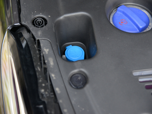 20215 PLUS Ϻ܇չ