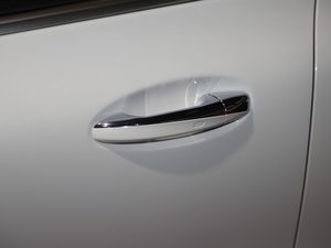 2021YGLAAMG Ϻ܇չ