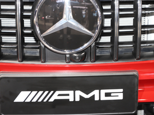 2021YGLB AMG Ϻ܇չ