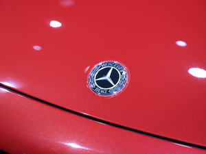 2021YGLB AMG Ϻ܇չ