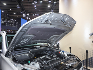 2021YGLEԴ Ϻ܇չ