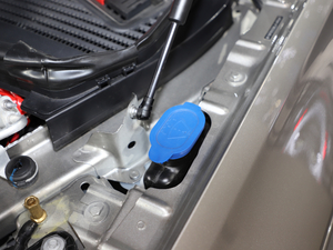 2021YGLEԴ Ϻ܇չ