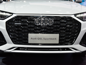 2021WQ5L Sportback Ϻ܇չ