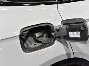 2021WQ5L Sportback Ϻ܇չ