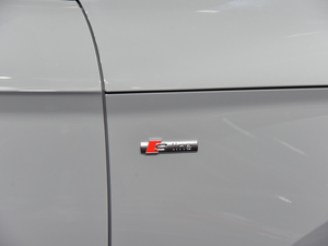 2021WQ5L Sportback Ϻ܇չ