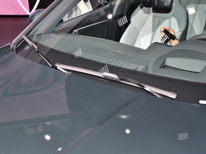 2021WA3 Limousine Ϻ܇չ