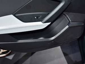 2021WA3 Limousine Ϻ܇չ