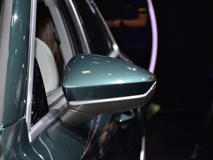 2021WA3 Limousine Ϻ܇չ