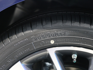 20215 PLUS Ϻ܇չ