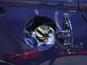 20215 PLUS Ϻ܇չ