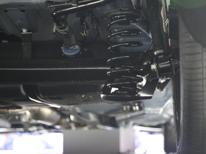 20215 PLUS Ϻ܇չ