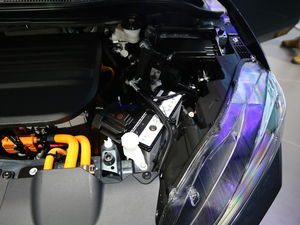 2021��|�L����M-NV �Ϻ�܇չ