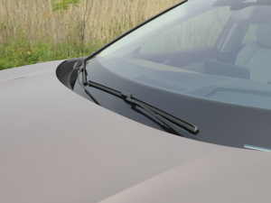 2021I(lng)D.6 X Ϻ܇չ