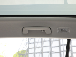 2021I(lng)D.6 X Ϻ܇չ