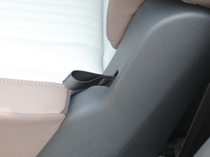 2021I(lng)D.6 X Ϻ܇չ