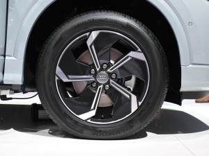 2022WQ2L e-tron Ϻ܇չ