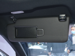 2022WQ2L e-tron Ϻ܇չ