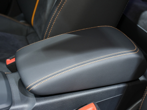 2022WQ2L e-tron Ϻ܇չ