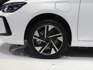 2021BEIJING-EU5 PLUS Ϻ܇չ