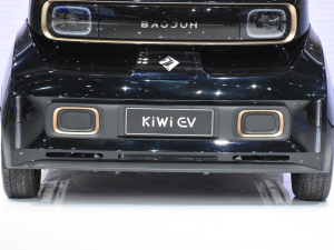 2021EKiWi EV Ϻ܇չ