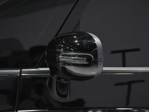 2021EKiWi EV Ϻ܇չ