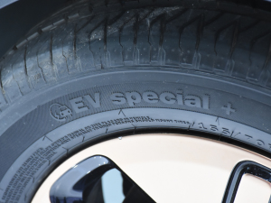 2021EKiWi EV Ϻ܇չ