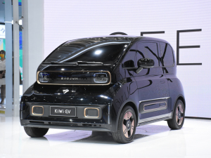 2021EKiWi EV Ϻ܇չ