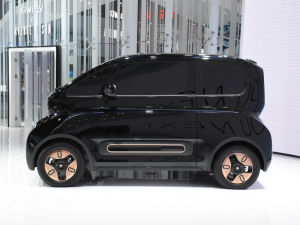 2021EKiWi EV Ϻ܇չ