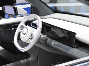 2021MINIEV Ϻ܇(ch)չ