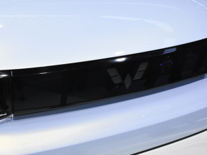 2021MINIEV Ϻ܇(ch)չ