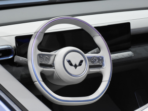 2021MINIEV Ϻ܇(ch)չ