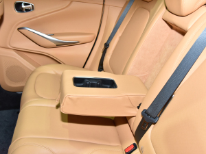 2021�˹�D���R��DBX �Ϻ�܇չ