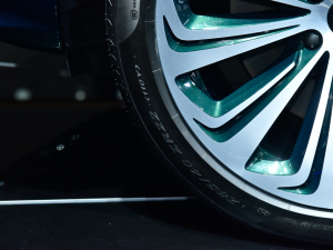 2021Խ늻(dng) Ϻ܇չ