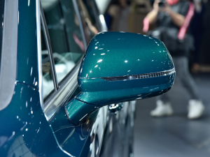 2021Խ늻(dng) Ϻ܇չ