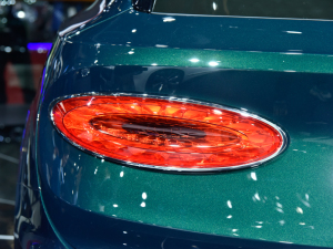 2021Խ늻(dng) Ϻ܇չ