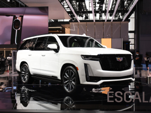 2021P׵ESCALADE Ϻ܇չ