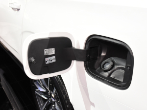 2021P׵ESCALADE Ϻ܇չ